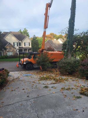 orange tree truck for cutting trees